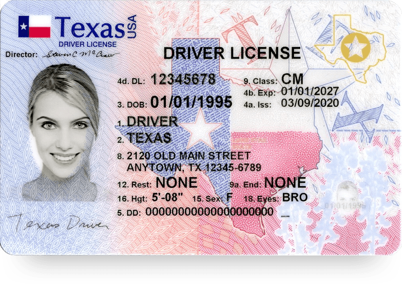 adult drivers license